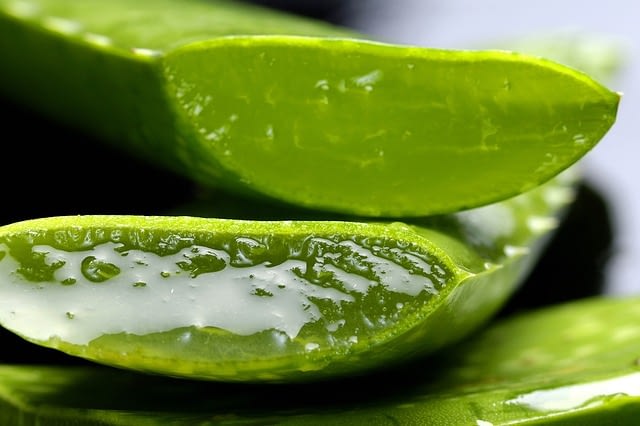 5 Proven Health Benefits Of Aloe Vera
